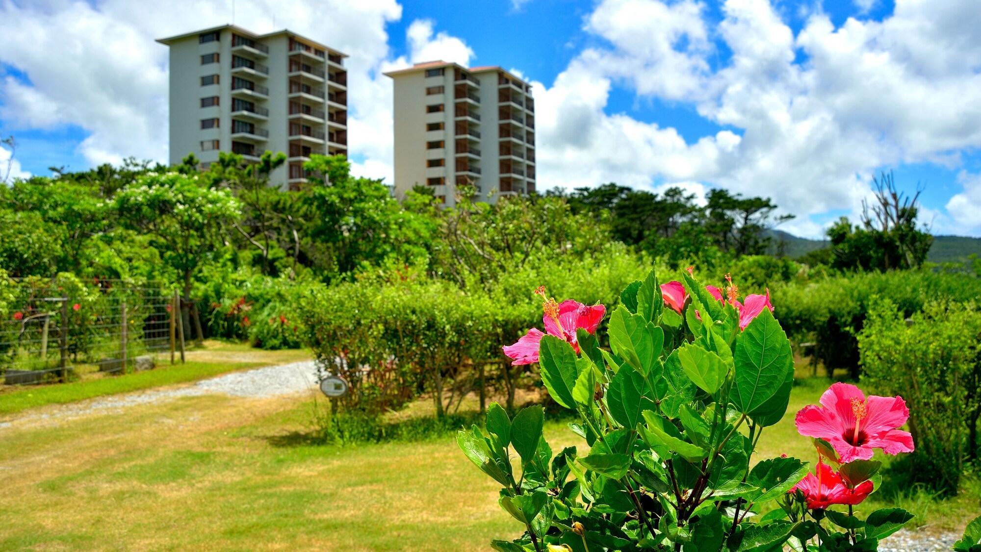 The Atta Terrace Club Towers (Adults Only) Hotel Onna Exterior photo